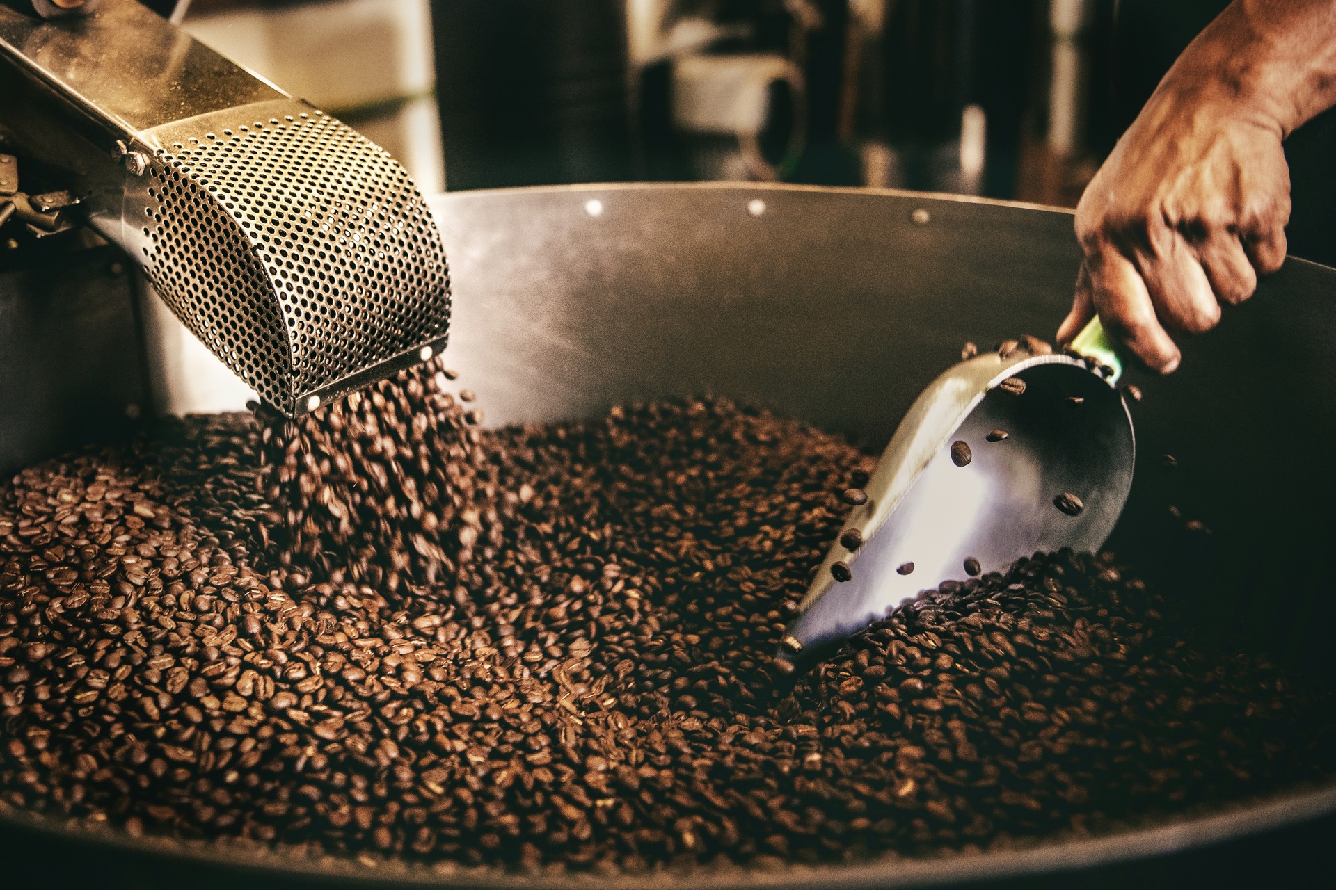 Jak kawa wpływa na regenerację i pracę mózgu? Ascafe o jakości ziaren i ich prawdziwej roli w codziennym życiu