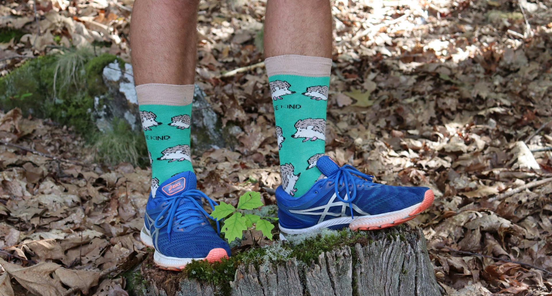 Kto powiedział, że skarpetki nie mogą poprawić nastroju? Nanushki udowadnia, że mogą!